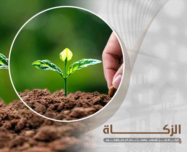 صورة الزكاة